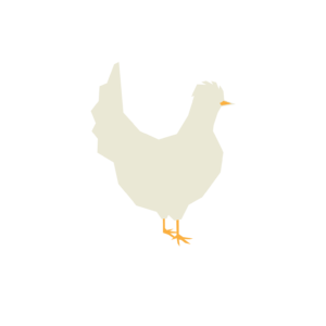 Poultry Protein