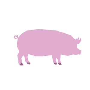 Pork Protein